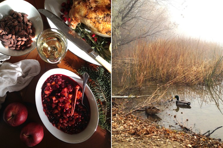 cranberry_sauce_ducks_1