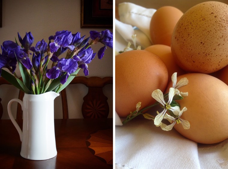 Irises and eggs