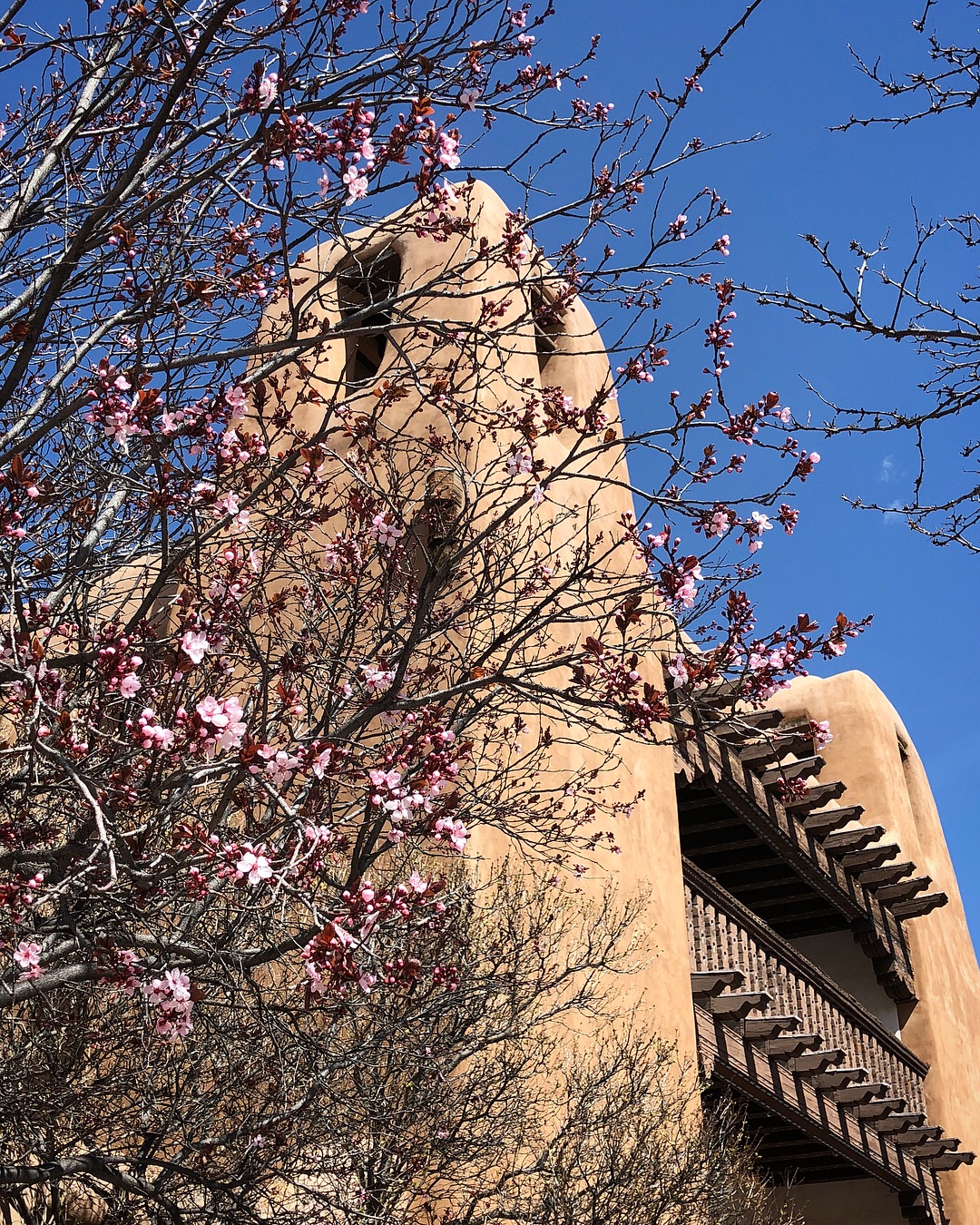 Santa Fe in Spring