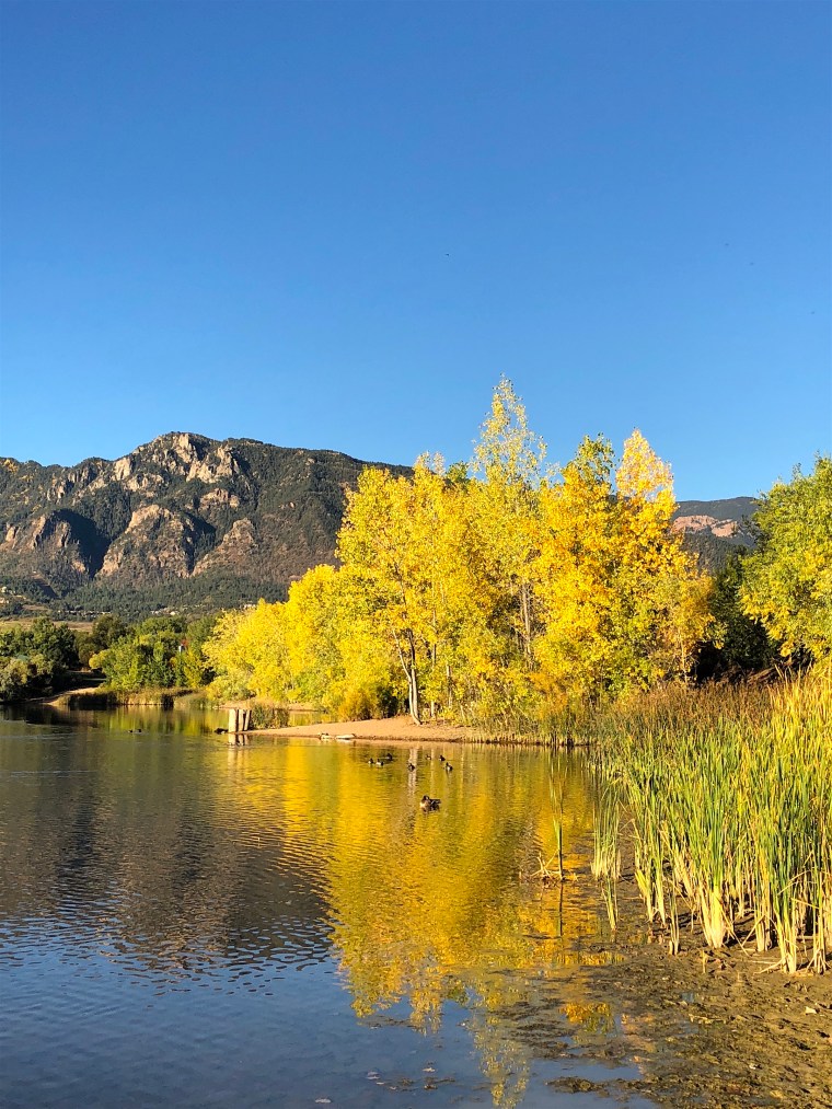 Fall in Colorado