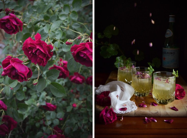 Green Tea Rose Spritzer Recipe