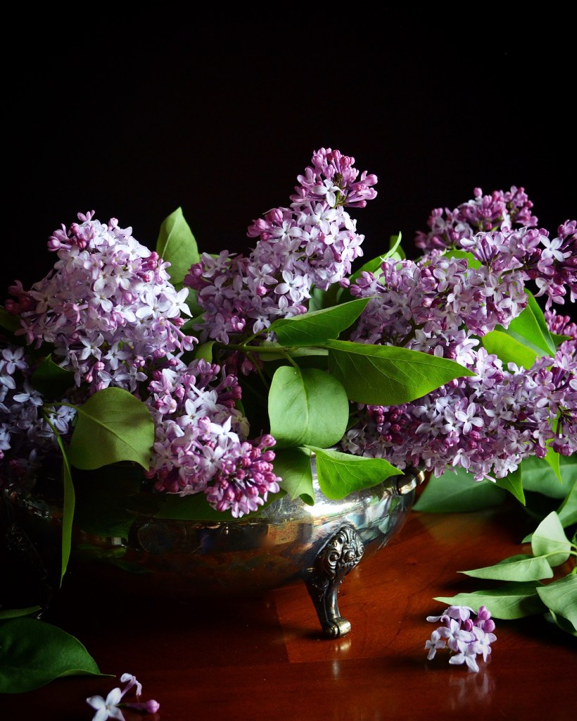 lilacs in silver bowl