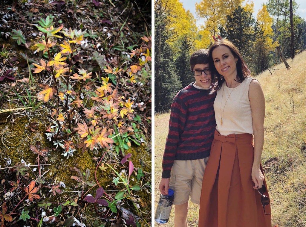 Colorado mountains in fall