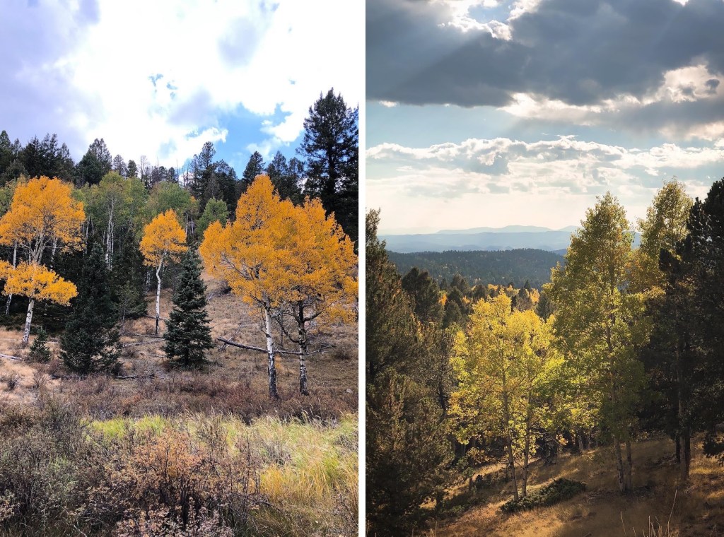 Colorado mountains in fall