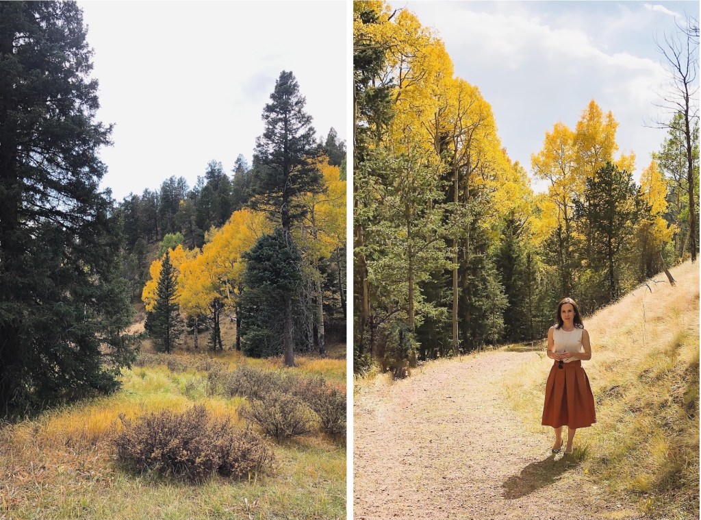 Colorado mountains in fall