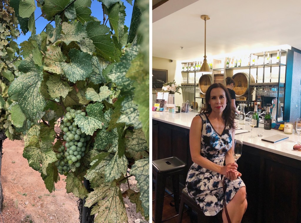 Gruet Winery Albuquerque tasting room and wine review